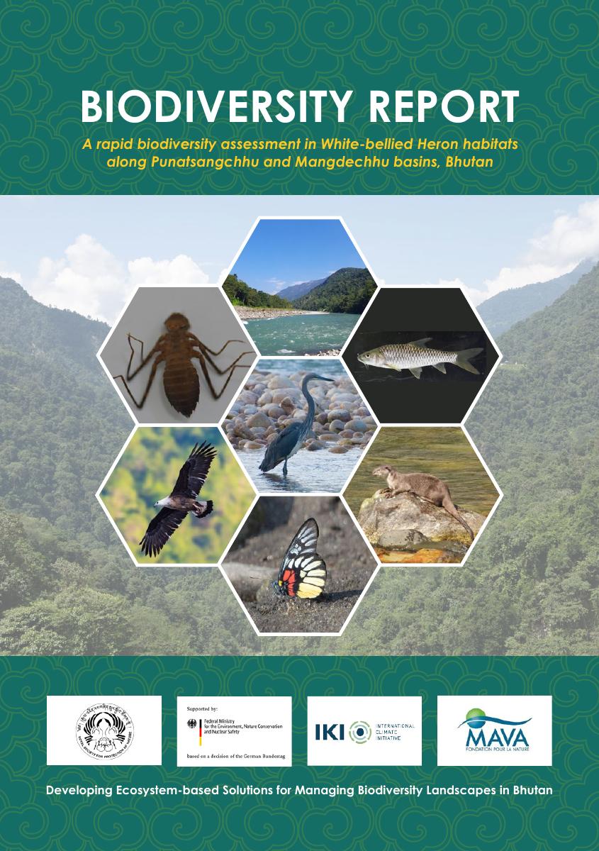 Biodiversity report: A rapid biodiversity assessment in White-bellied Heron habitats along Punatsangchhu and Mangdechhu basins, Bhutan cover