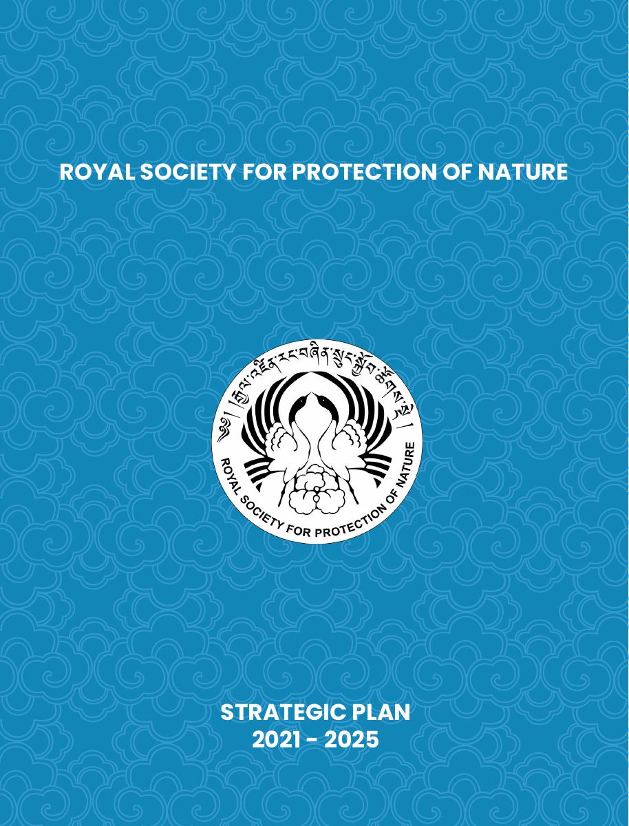 Strategic Plan (2021 – 2025) cover