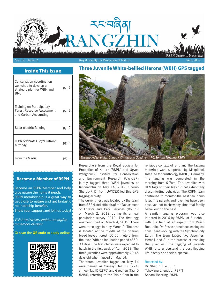 Rangzhin Volume 12, Issue 2, June 2019 cover