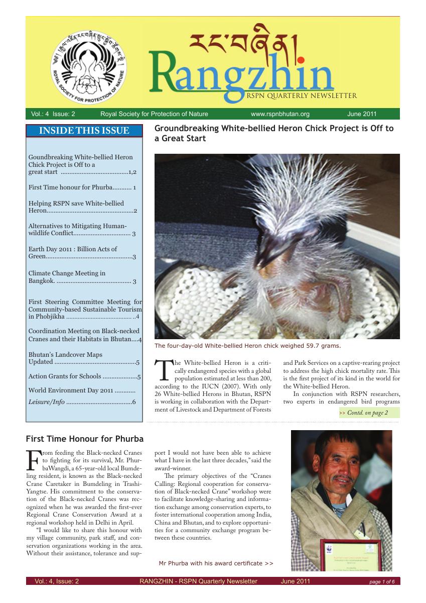 Rangzhin Volume 4, Issue 2, June 2011 cover