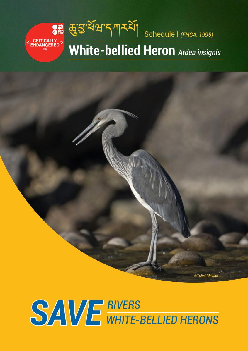 WBH brochure cover
