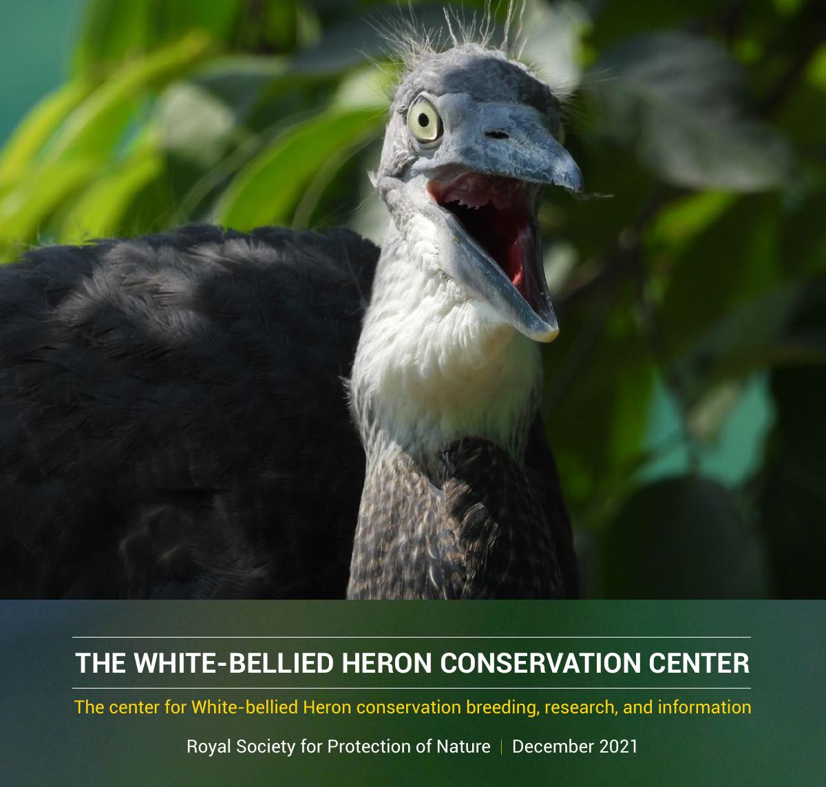 WBH Conservation Center Report 2021 cover