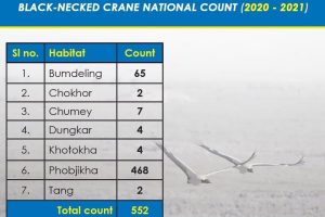 Black-necked Crane Population 2020-2021