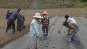 Demonstration Garden to Farmers Group in Chhukha