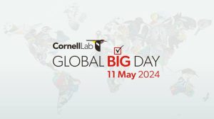 𝗛𝗮𝗽𝗽𝘆 𝗕𝗶𝗿𝗱𝗶𝗻𝗴 𝘁𝗼𝗺𝗼𝗿𝗿𝗼𝘄