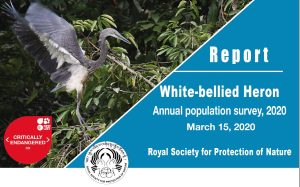 WBH Population Survey 2020