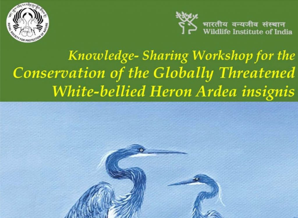 Happening Today: 𝗞𝗻𝗼𝘄𝗹𝗲𝗱𝗴𝗲 𝗦𝗵𝗮𝗿𝗶𝗻𝗴 𝗪𝗼𝗿𝗸𝘀𝗵𝗼𝗽 𝗼𝗻 𝗪𝗵𝗶𝘁𝗲-𝗯𝗲𝗹𝗹𝗶𝗲𝗱 𝗛𝗲𝗿𝗼𝗻