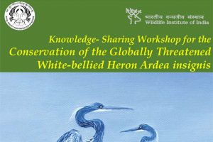 Happening Today: 𝗞𝗻𝗼𝘄𝗹𝗲𝗱𝗴𝗲 𝗦𝗵𝗮𝗿𝗶𝗻𝗴 𝗪𝗼𝗿𝗸𝘀𝗵𝗼𝗽 𝗼𝗻 𝗪𝗵𝗶𝘁𝗲-𝗯𝗲𝗹𝗹𝗶𝗲𝗱 𝗛𝗲𝗿𝗼𝗻