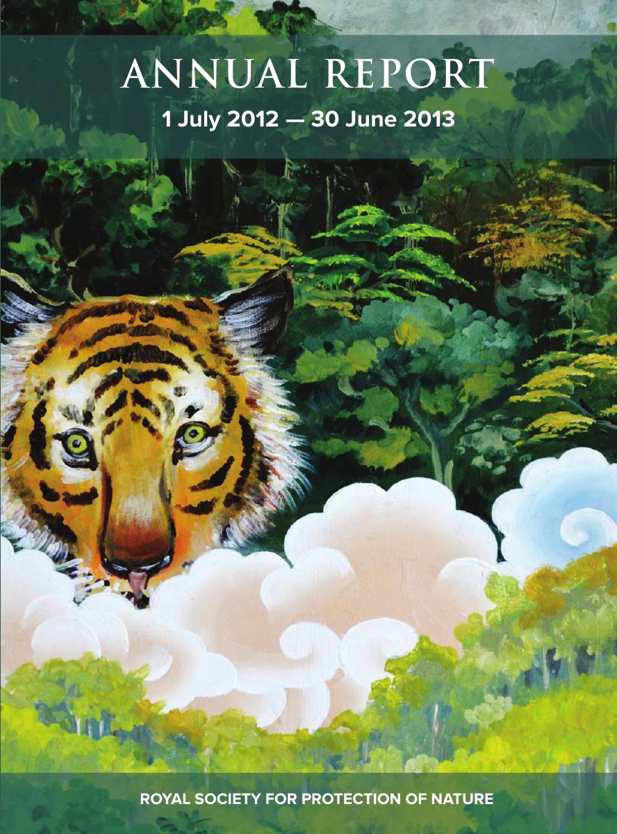 Annual Report 2012 to 2013 cover