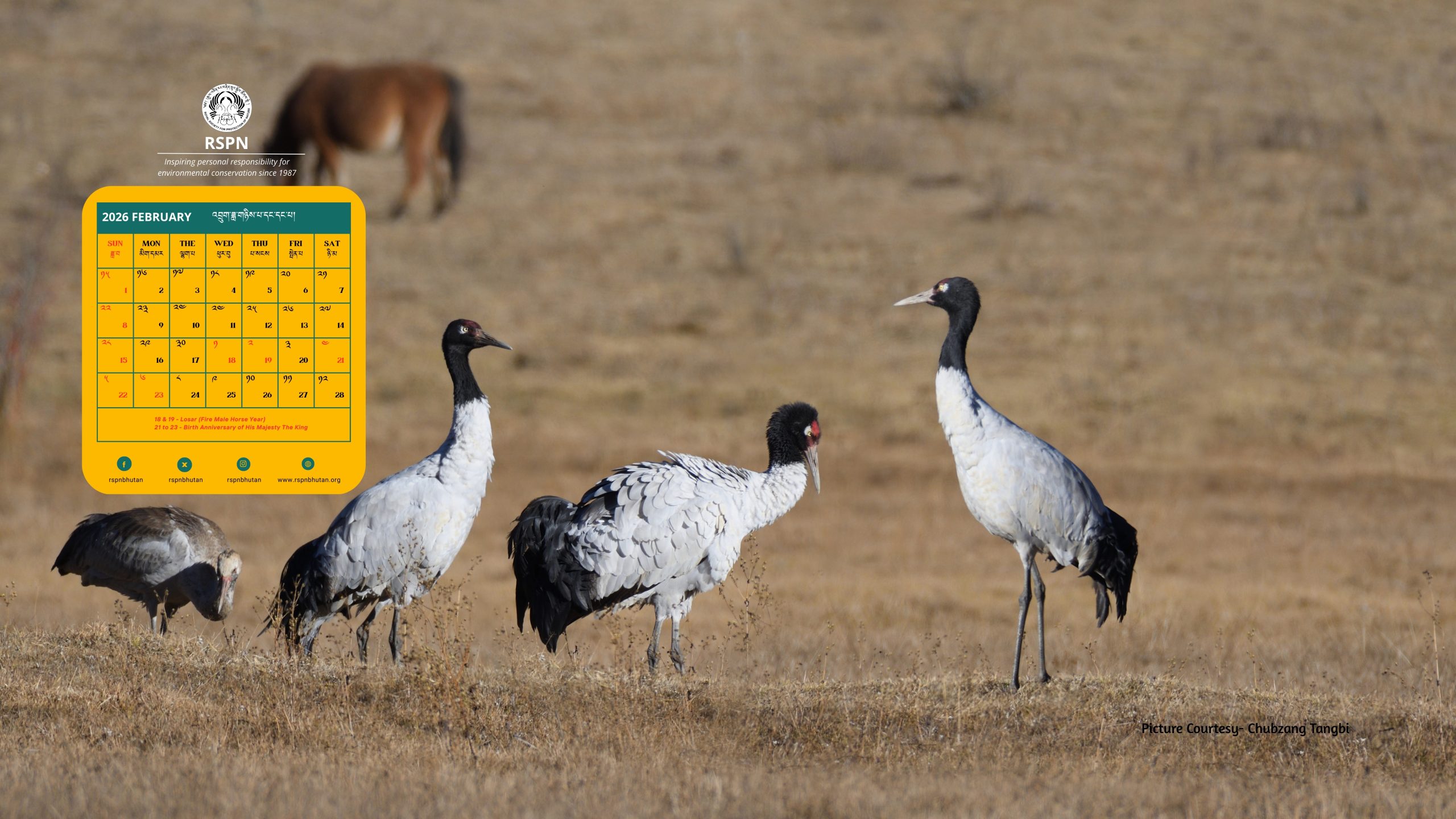 Desktop Calendar February 2026