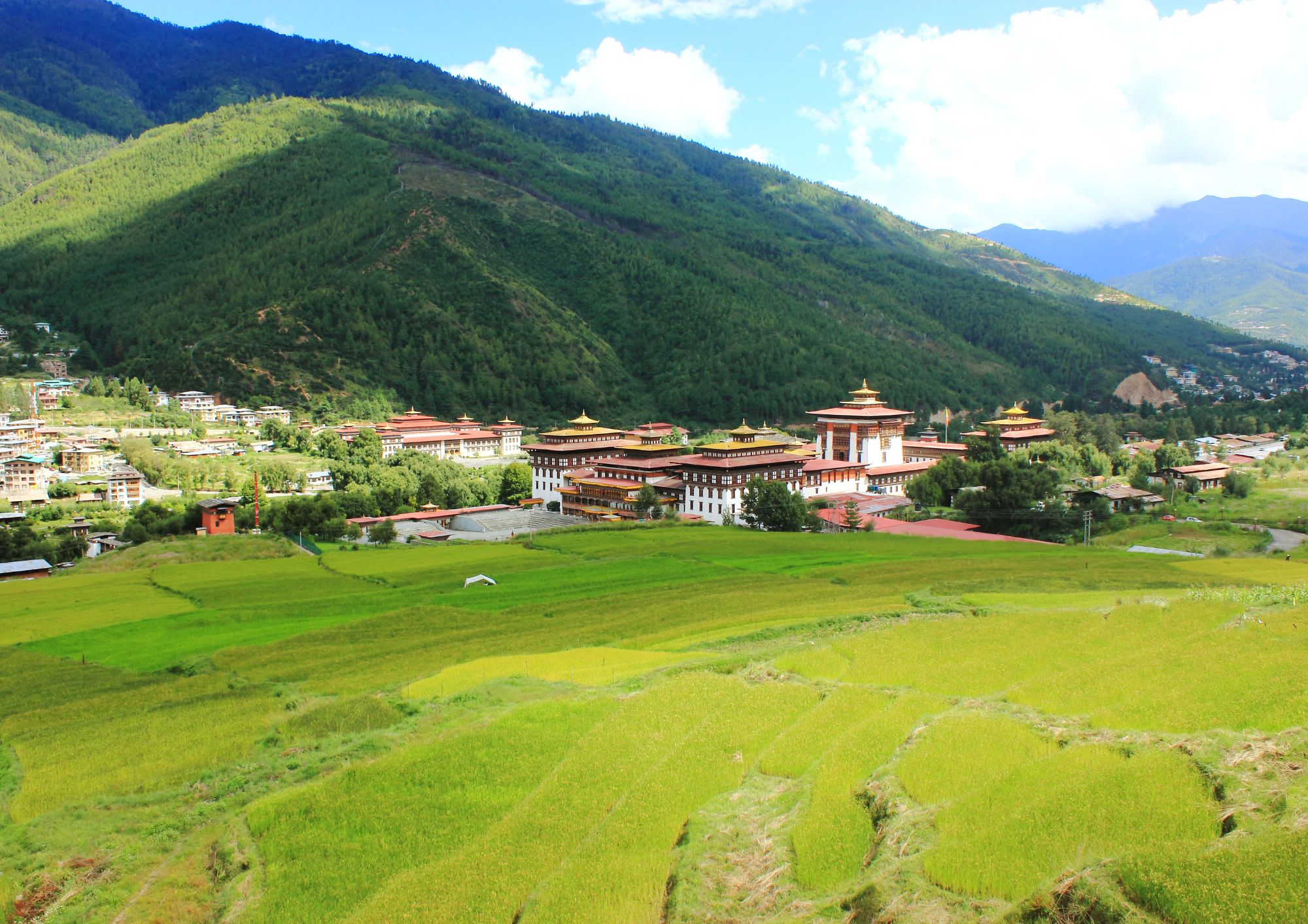 Distribution in Bhutan- Bumthang