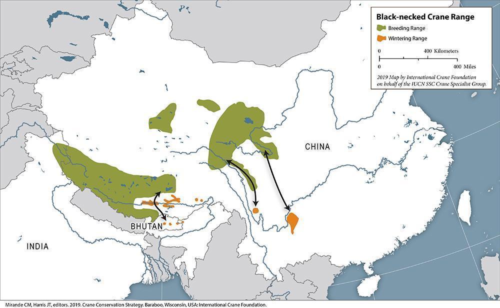 Global Distribution
